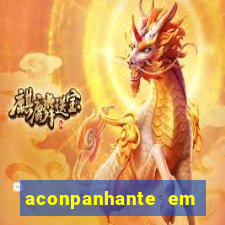 aconpanhante em porto alegre